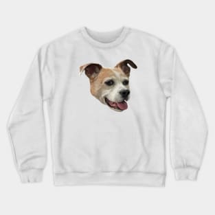 Jack Russell Terrier Mix - White Background Crewneck Sweatshirt